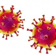 volksgezondheid anti corona