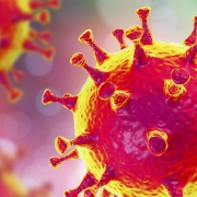 corona invloed horeca