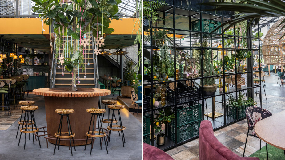 Intratuin-in-Ijsselstein-collage