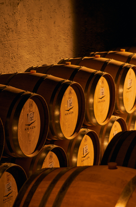 Kaiken-Wijn-Delta-Wines-1