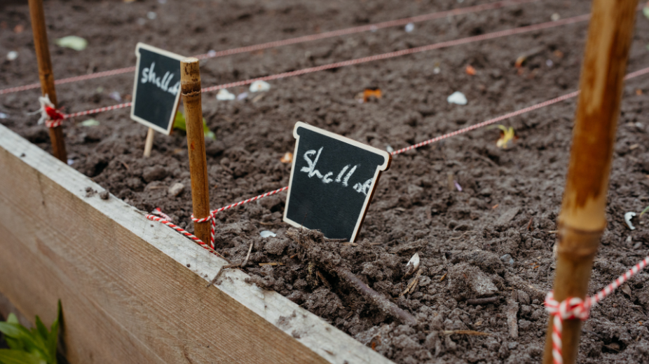 Roef-in-Amsterdam-ovv-Nina-Slagmolen (9)
