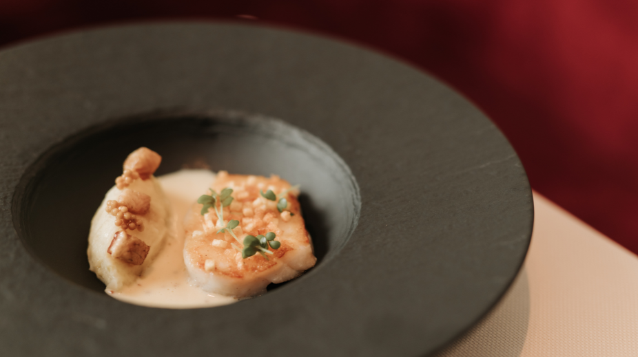Savarin-in-Rijswijk (4)