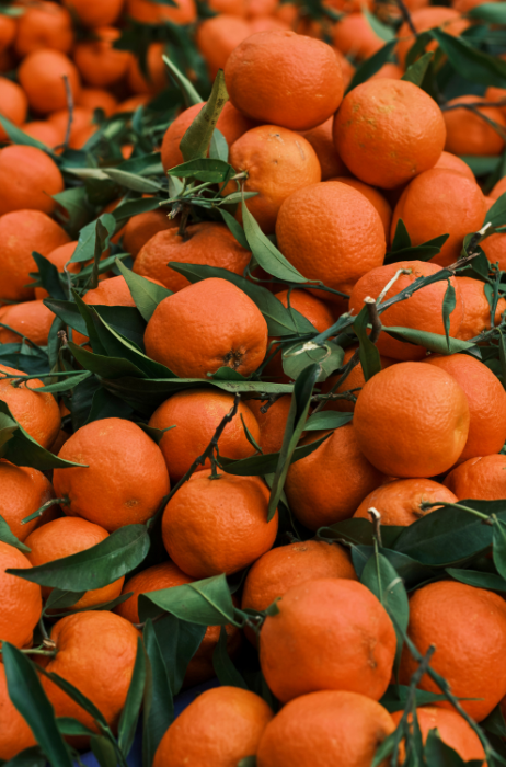 Sinaasappels-algemeen-beeld-Canva