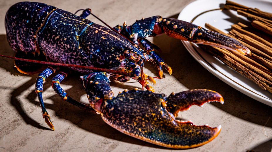 Soenil kreeft en kaneel