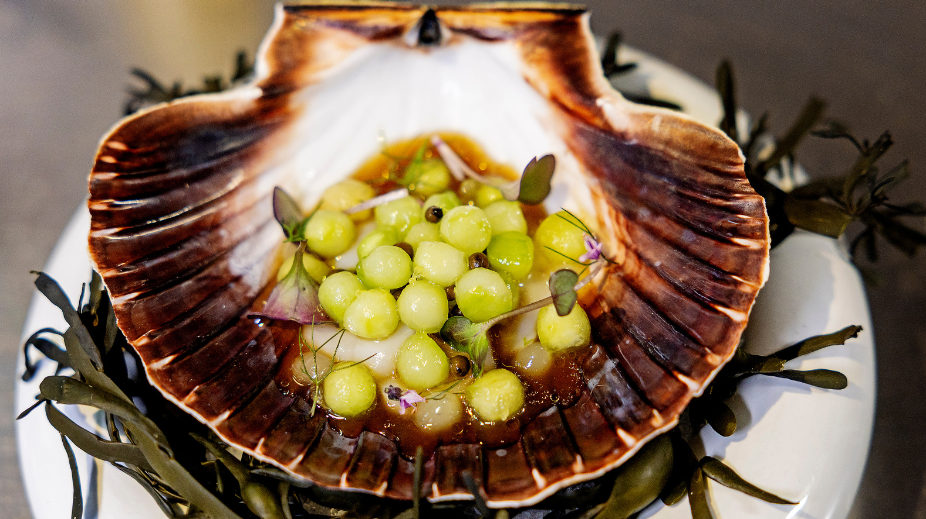 Sukerilje-Zwolle-Yannick-Roodhof-Gerecht-2