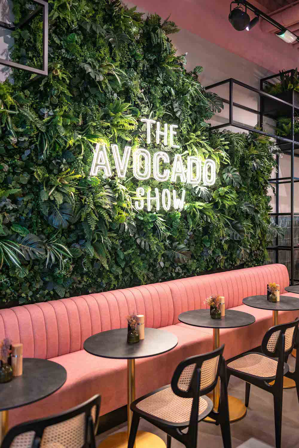 The Avocado Show - WMON4