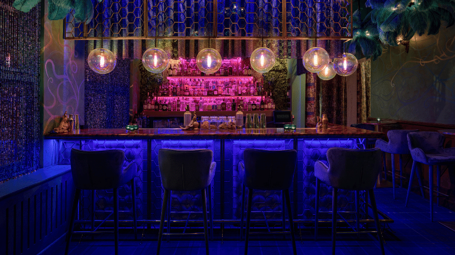 The Peacock Zwolle bar blauw