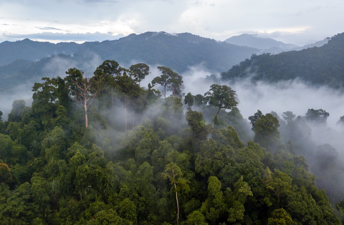 UESHIMA - adv - beeld