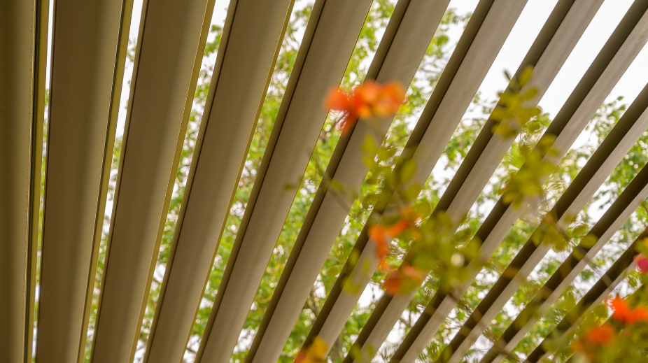 Wonders-in-Bergen-terras (5)