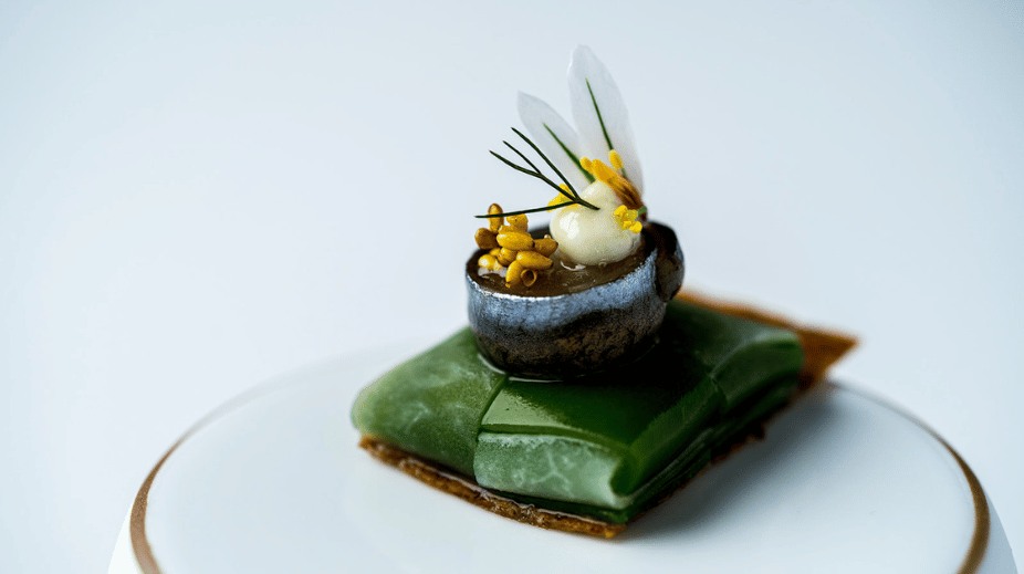 Zilte Antwerpen Amuse Vega