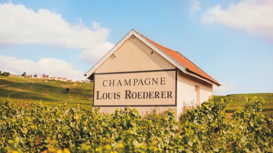 Champagne