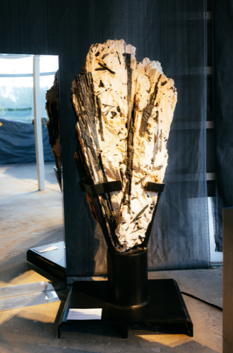 End of Summer Party - Técan Tequila