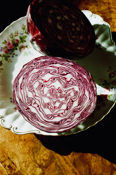 galanthus-in-den-haag-sfeerbeeld (2)