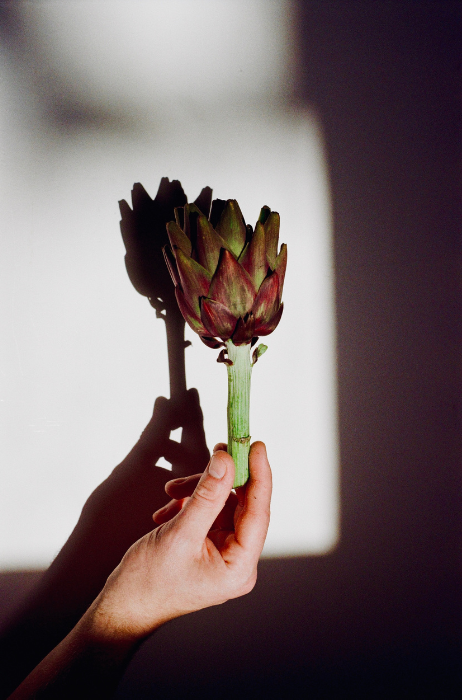 galanthus-in-den-haag-sfeerbeeld (3)