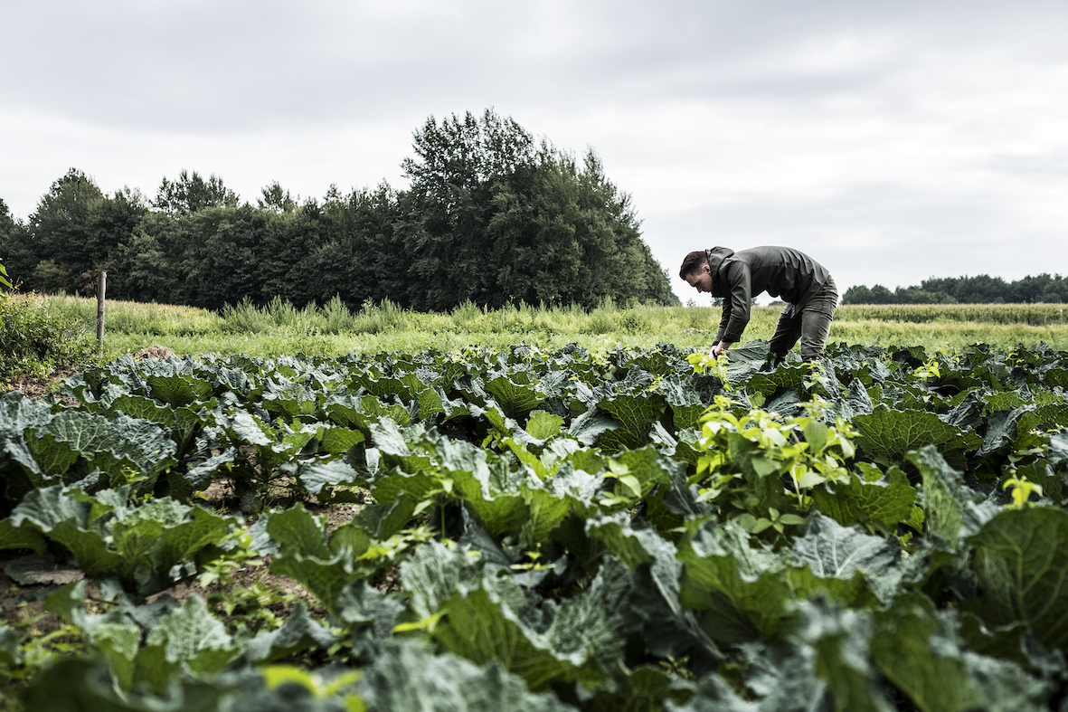 Inzet - Bjorn Massop - Michelin duurzame chefs 